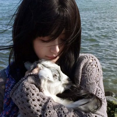 知音海报