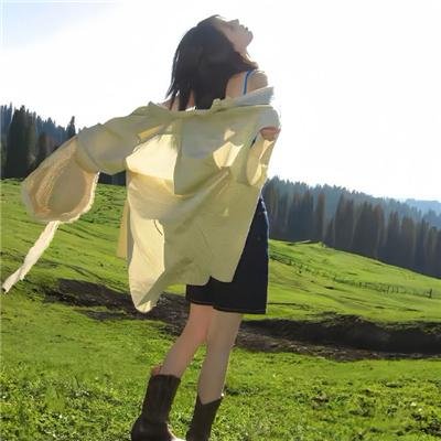 第一夫人海报